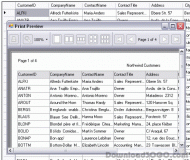 Teroid Data Grid View Print Control screenshot